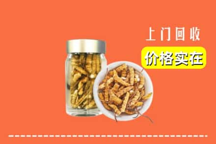 收购资讯:汉中勉县回收散虫草