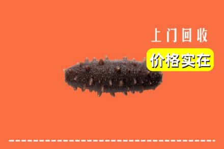 收购资讯:汉中勉县回收海参