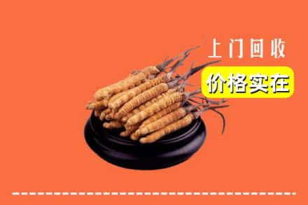 汉中勉县回收冬虫夏草